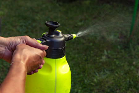 Spraying plant protection preparation in the garden, woman spraying lawn with fertilizer, yellow pressurized containerの写真素材