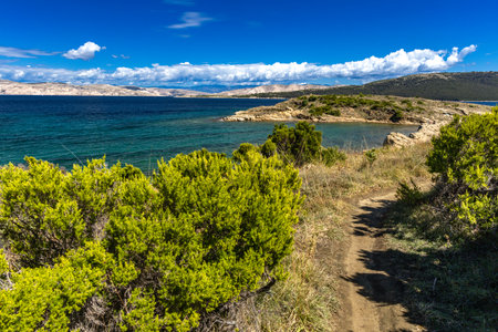 Beach Ciganka FKK naturist on the island of Rab in Croatia, wild nature, rocky shore, calm Adriatic Seaの写真素材