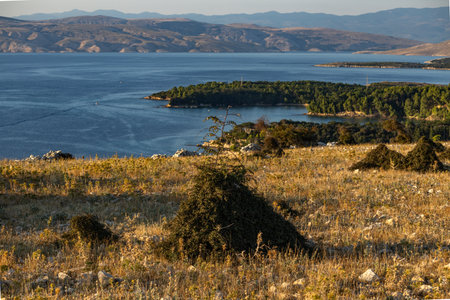 Panorama of the town of Lopar, view from a nearby peak, Rab Island, Croatia