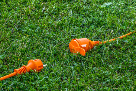 An electric extension cord lying on a green lawn in a garden, representing connection, harmony, and...