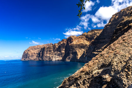Stunning landscape of Los Gigantes cliffs on Tenerife, Canary Islands, with cactus growing on a rocky slope above the deep blue Atlantic Ocean under a partly cloudy sky. Travel, nature, and adventure concept.の写真素材