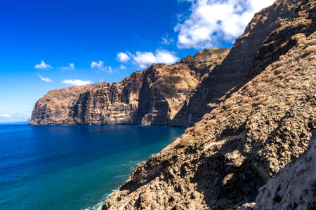 Stunning landscape of Los Gigantes cliffs on Tenerife, Canary Islands, with cactus growing on a rocky slope above the deep blue Atlantic Ocean under a partly cloudy sky. Travel, nature, and adventure concept.の写真素材
