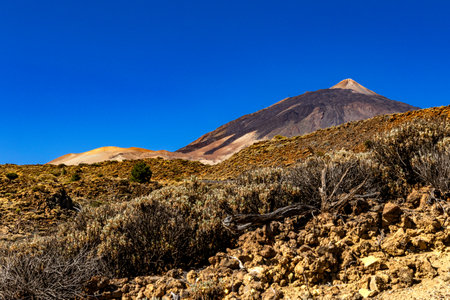 Beautiful view of Mount Teide volcano on Tenerife, Canary Islands, Spain. Majestic volcanic peak rising above green forests under a clear blue sky. Nature, travel, and adventure landscape concept.の写真素材