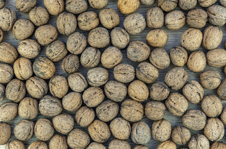Autumn walnuts in shell arranged on a wooden board, autumn background for a postcardの写真素材