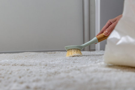 Spreading active carpet washing powder, rubbing detergent into a dirty carpet with a brush, hand...