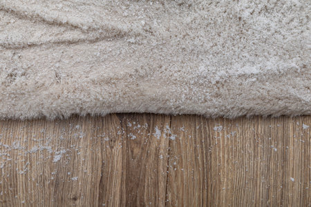 Spreading active carpet washing powder, rubbing detergent into a dirty carpet with a brush, hand washing a carpet at home, active chemicals for washing upholsteryの写真素材