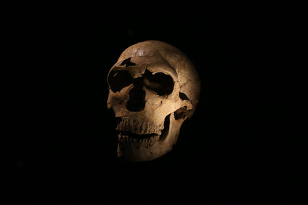 Skull of a caveman on a black backgroundのeditorial素材