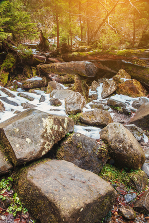 Beautiful waterfall on Carpathian mountains, Western Ukraineの写真素材