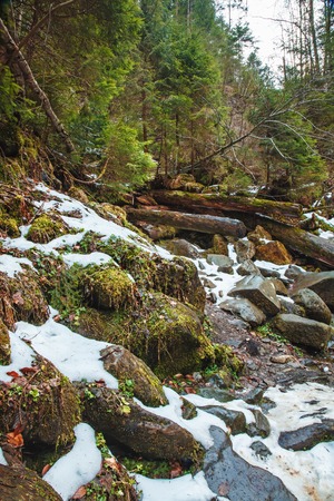 Beautiful waterfall on Carpathian mountains, Western Ukraineの写真素材