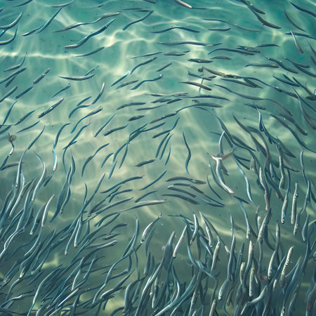 Underwater view of a school of fish swimming in the sea.の写真素材