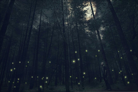 Fantasy forest with light in the night. 3D rendering.の写真素材
