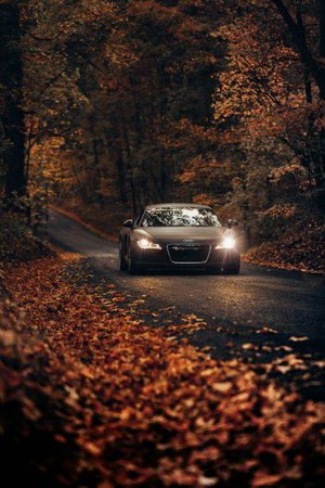 Car on the road in the autumn forest. Car on the road.の写真素材