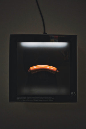 Sausage in a museum in Barcelona, Catalonia, Spain.の写真素材
