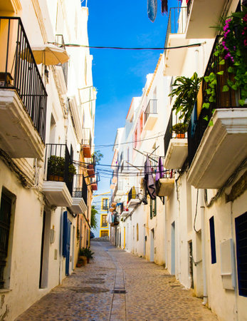 Alleyway. Frigiliana. Andalusia. Spain.