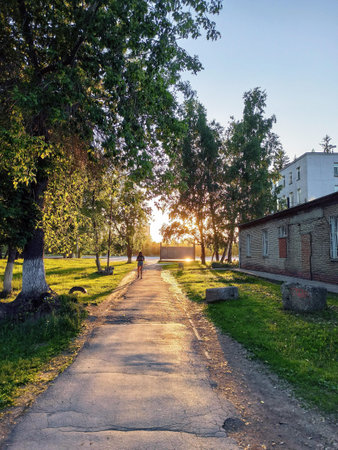 Sunset in the park in summer.