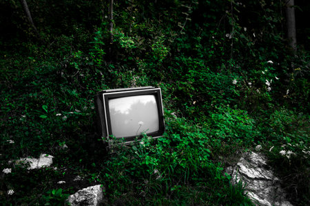 Old TV in the forest. Conceptual image with copy space.の写真素材