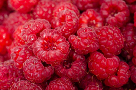 fresh raspberries background, close-up, macro, selective focus