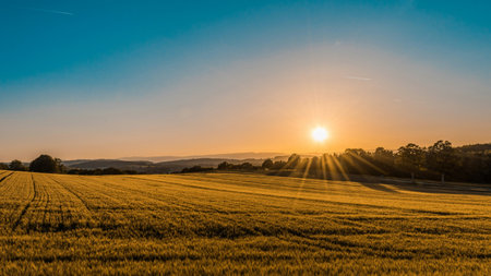 Sunset over a field of wheat in the countryside in Bavariaの写真素材