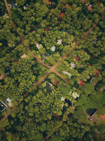 Aerial view of green forest with houses, roads and trees.の写真素材