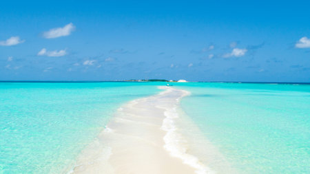tropical beach in Maldives with few palm trees and blue lagoonの写真素材