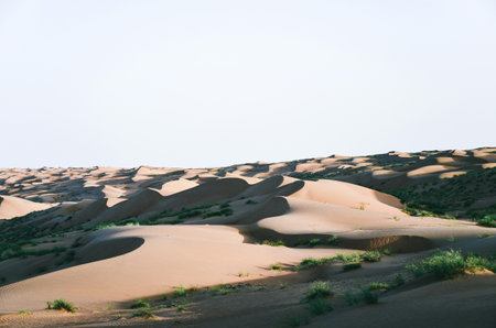 Sand dunes in Maspalomas, Gran Canaria, Canary Islandsの写真素材