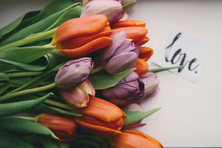 Bouquet of tulips on a white background with a card with the inscription loveの写真素材