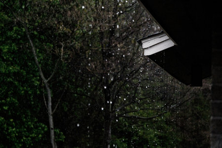 Rain drops falling on the roof of a house in the forest.の写真素材