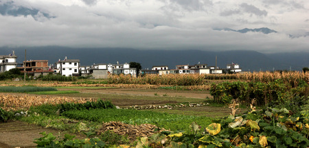 Cangshan foot of farmland の写真素材