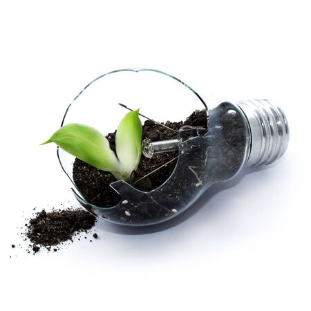 Isolated bulb with earth