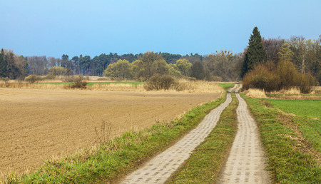 Typical countryside spring view with fields, forest and country road in Poland.の写真素材