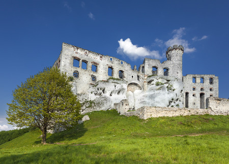 Ruins of a castle, Ogrodzieniec fortifications, Poland  の写真素材