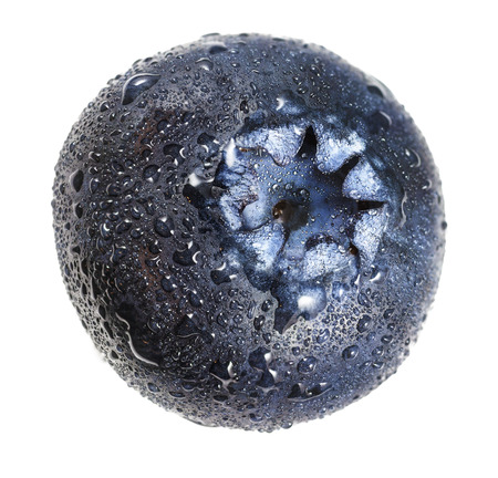 Blueberry with water drops in closeup.の写真素材