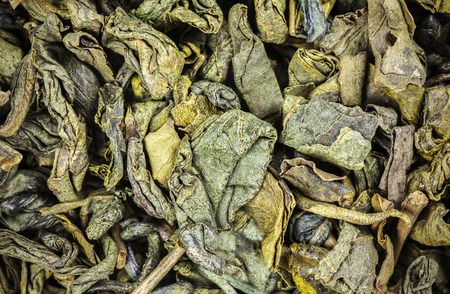 Dried green tea leaves close up background.の写真素材