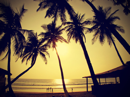 Palms silhouettes against sun, vintage retro style, Goa, India の写真素材