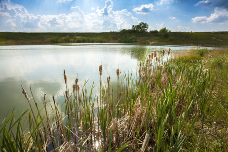 Lake shore nature background の写真素材