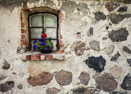 Flowers on the window of ancient building stone wall の写真素材