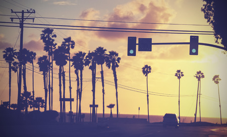 Vintage sunset picture of palms and poles on street against sun の写真素材