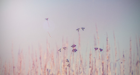 Vintage picture of Colorful Kites Flying in Blue Sky behind grass の写真素材