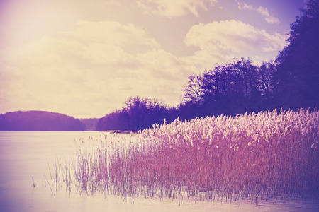 Vintage retro toned image of lake in winter.の写真素材