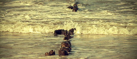 Retro filtered picture of sea shore and old wooden posts.の写真素材