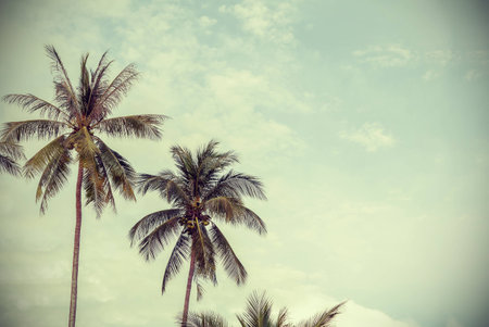 Retro stylized nature background with copy space.の写真素材