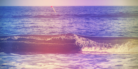 Vintage filtered abstract nature background or banner, shallow depth of field.の写真素材