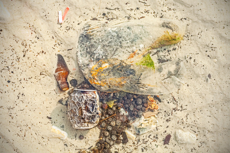 Garbage in shallow water, beach polluted by people, environmental pollution concept.の写真素材