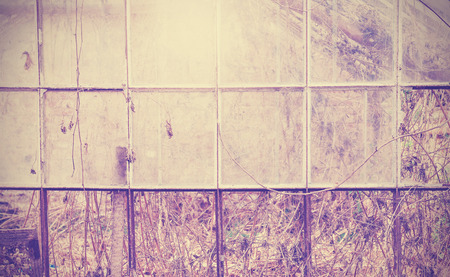 Vintage filtered grungy background, old abandoned glasshouse.の写真素材