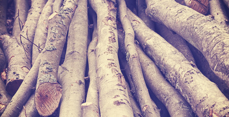 Vintage toned nature background made of cut trees.