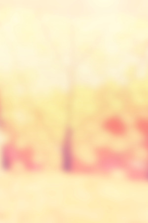 Abstract blurred natural background, pastel colors.の写真素材