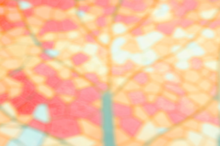 Abstract blurred natural background, pastel colors.の写真素材