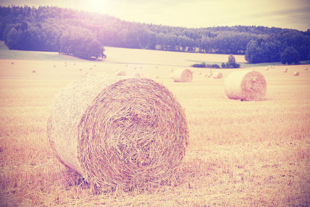Vintage toned harvested field with hay bales.の写真素材