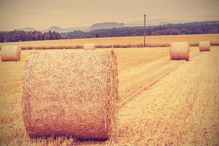 Vintage toned hay bales on harvested field, shallow depth of field.の写真素材