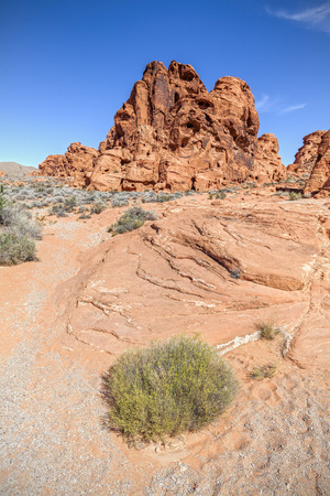 Valley of Fire State Park, Nevada, USA.の写真素材
